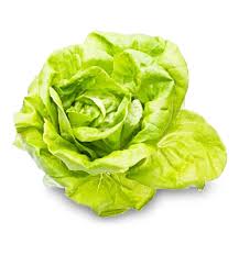 Image result for Kopfsalat