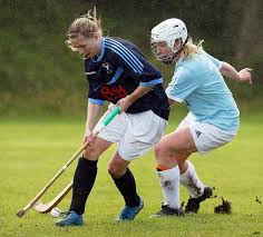 Image result for Skye Camanachd