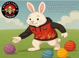 Image result for Brynhyfryd Bowls Club