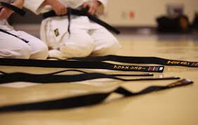 Image result for Mirfield Martial Arts Club