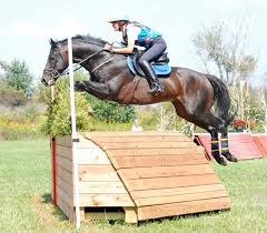 Image result for Fisher Equestrian