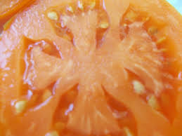 Afbeeldingsresultaat voor belarus orange tomato