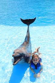 Image result for Belfairs Dolphins Snorkelling Club