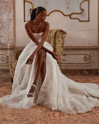 Image result for cosmobella