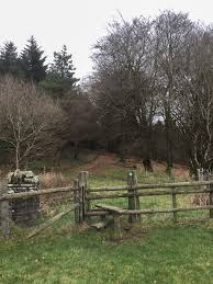 Image result for Taff Ely Tri