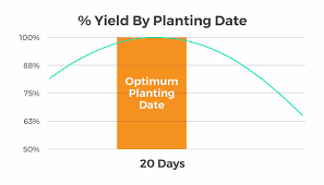 Image result for precision tehron