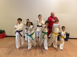 Image result for Plymouth Karate Club Kyokai
