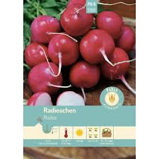 Image result for Radieschen