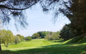Image result for Falkirk Tryst Golf Club