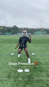 Image result for Southampton Stags