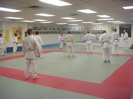 Image result for Tora Dojo