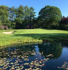 Image result for York University Golf Club