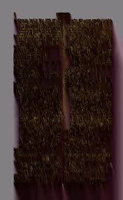 Attēlu rezultāti vaicājumam “Platyptilia gonodactyla imago”