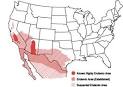What is Valley Fever?