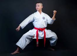 Image result for Shotokan Karate