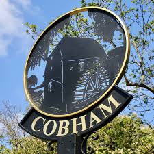 Image result for Cobham
