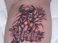 deer tattoos