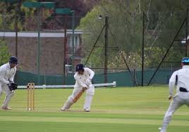 Image result for Sawbridgeworth Cricket Club