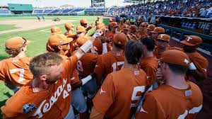 Image result for World Groundball Association