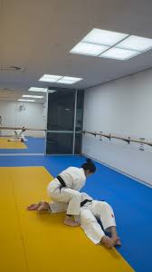Image result for Southampton University Judo