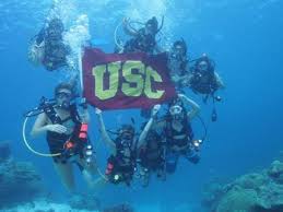 Image result for Dive Crew Scuba Diving