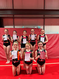 Image result for Harnham Gymnastics Club