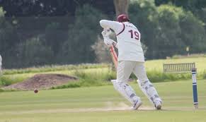 Image result for South Wilts Cricket Club