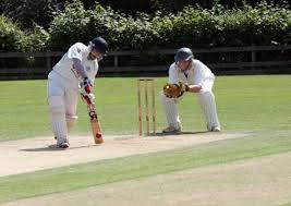 Image result for Frecheville Community Cricket Club