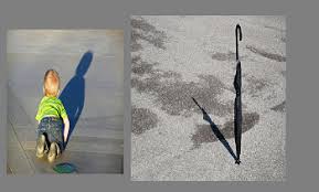 Attēlu rezultāti vaicājumam “Panolis umbra”