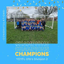 Image result for Hamilton Panthers Association Football Club