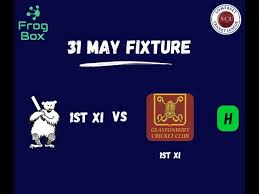 Image result for Glastonbury Cricket Club