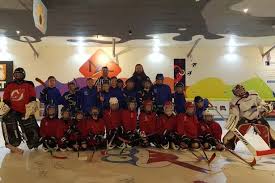Image result for Vipers Roller Hockey Team