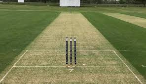 Image result for Hampton Hill Cricket Club