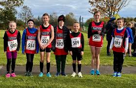 Image result for Billingham Marsh House Harriers