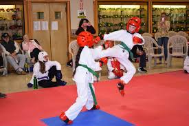 Image result for moray coast tang soo do