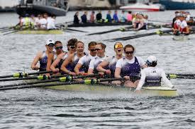 Image result for Windermere Rugby Club