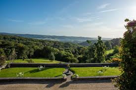 Image result for Newton Abbott Knights