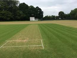 Image result for Shepherdswell Cricket Club