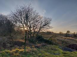 Image result for Hillingdon mountaineering club