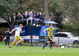 Image result for Warsash Wasps Sports & Football Club