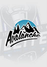Image result for Ash Avalanche Skater Hockey Club