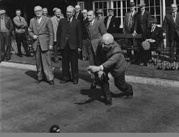 Image result for Tiverton Borough Bowling Club