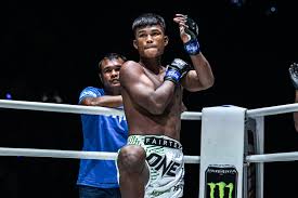 Image result for Enfield T'ai Tsung Chinese Boxing