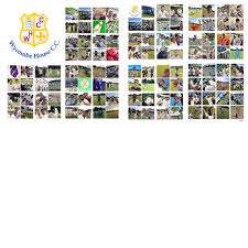 Image result for Wycombe House Cc