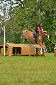 Image result for Patchett`s Green Riding Club