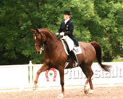 Image result for Uwe Riding Club