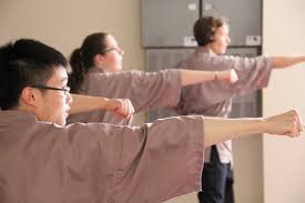 Image result for Shaolin Nam Pai Chuan Kung Fu - Manchester Martial Arts Centre