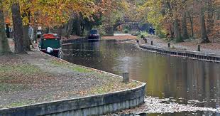 Image result for Basingstoke Sc