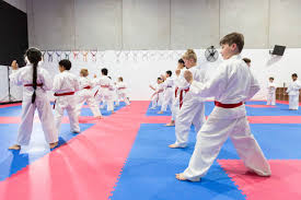 Image result for Ynys Mon Shukokai Karate Club, North Wales