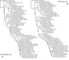 Attēlu rezultāti vaicājumam “Athelia pyriformis”